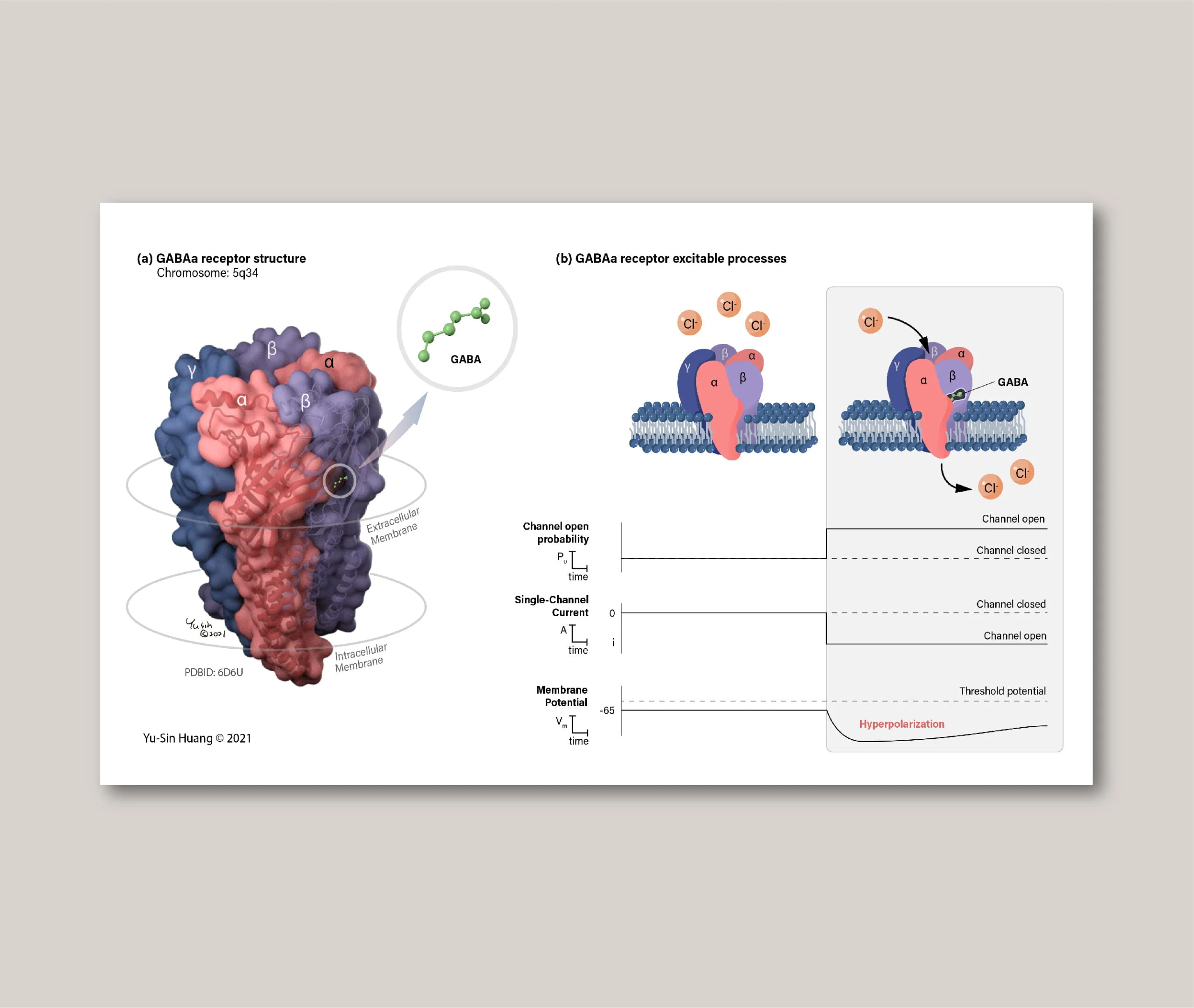 neurosciences_thumbnail