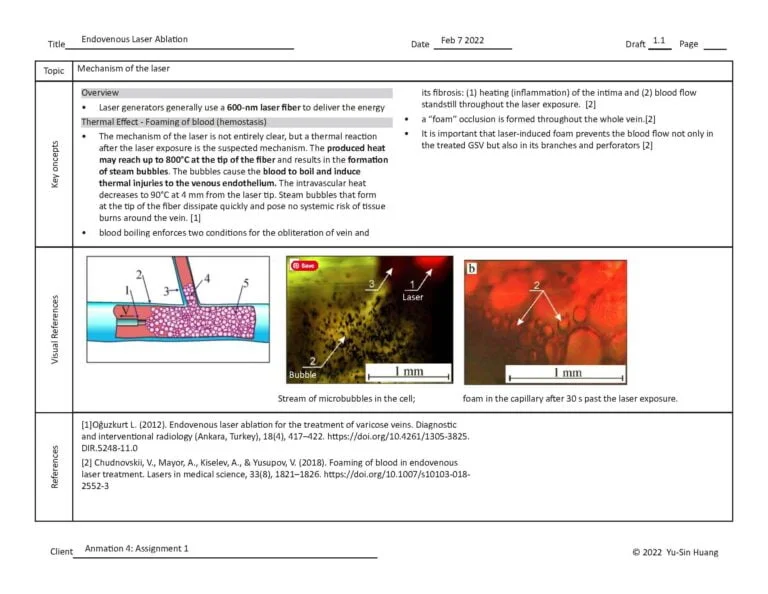 BVIS544_HuangY_A1_OrgChart_20220207_Page_2