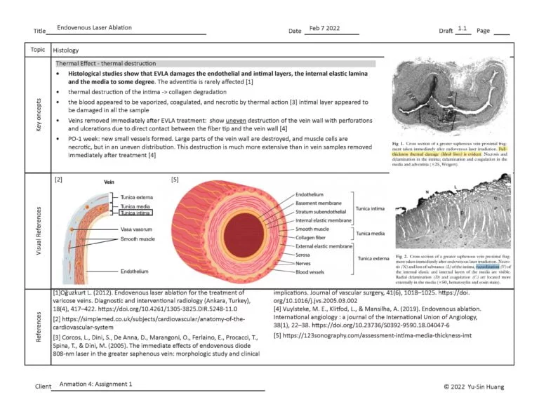 BVIS544_HuangY_A1_OrgChart_20220207_Page_3