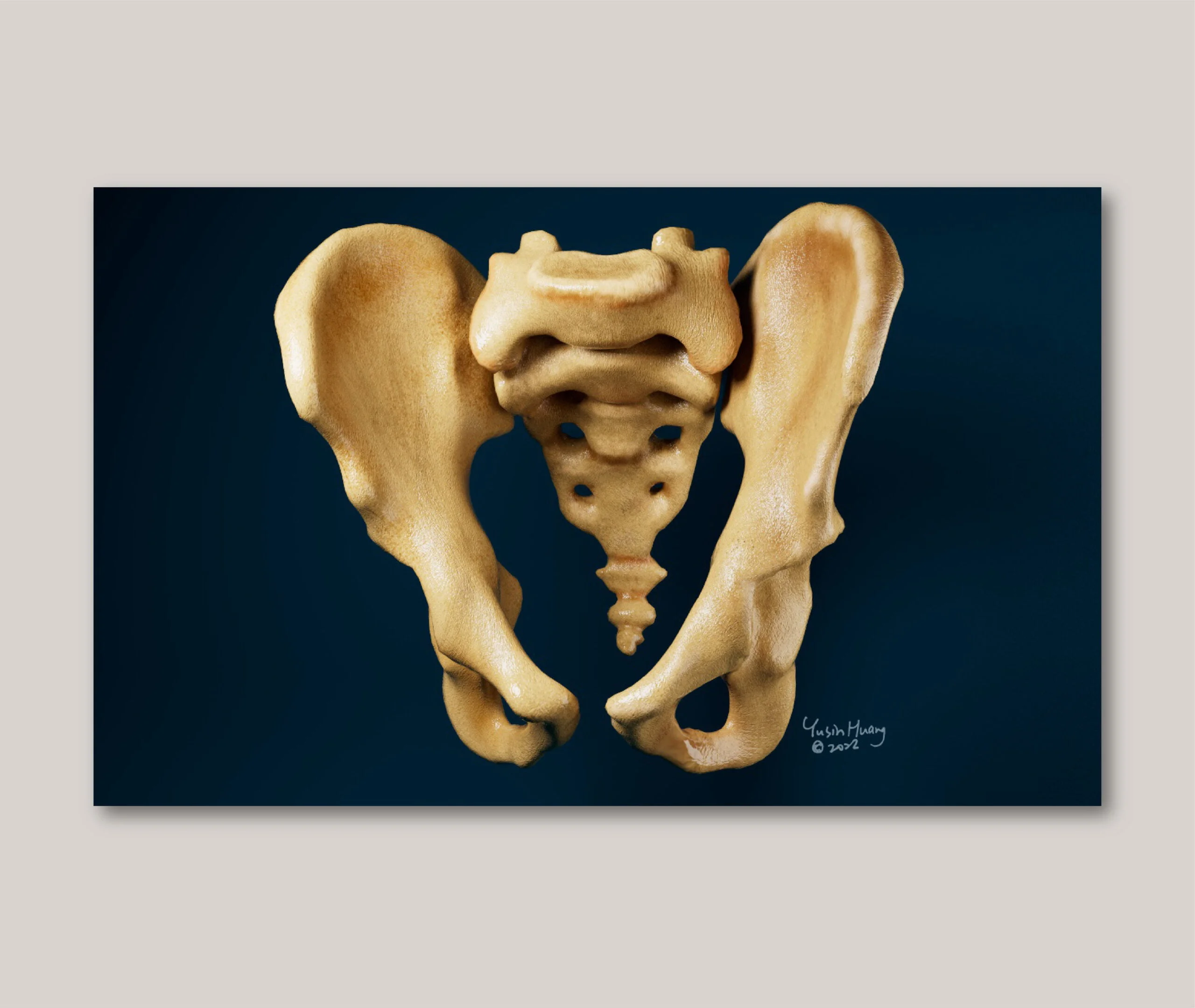 pelvis_thumbnail-01